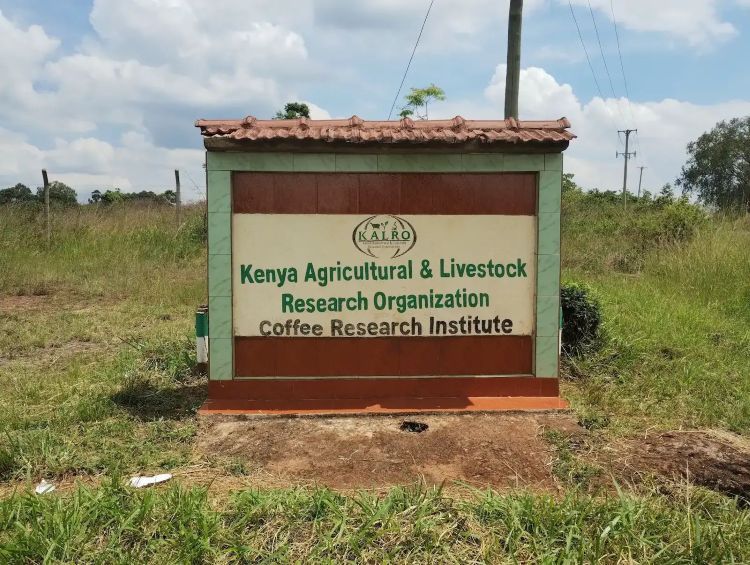 Coffee Research Institute in Kenia.